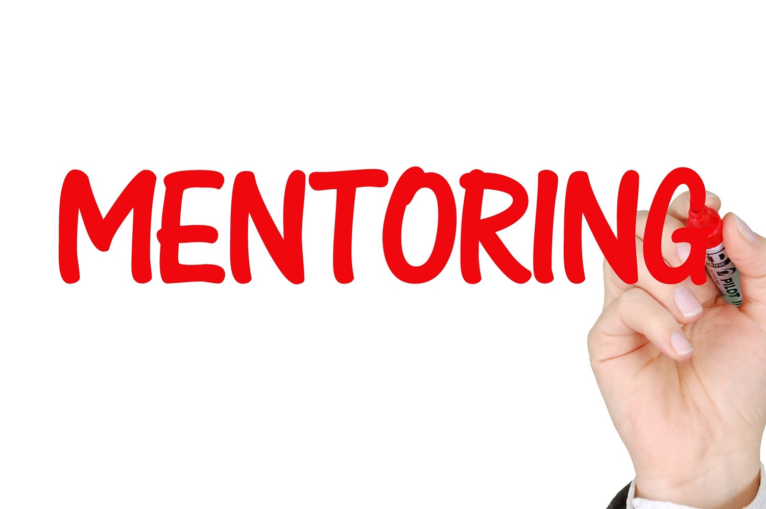 Mentoring&nbsp;